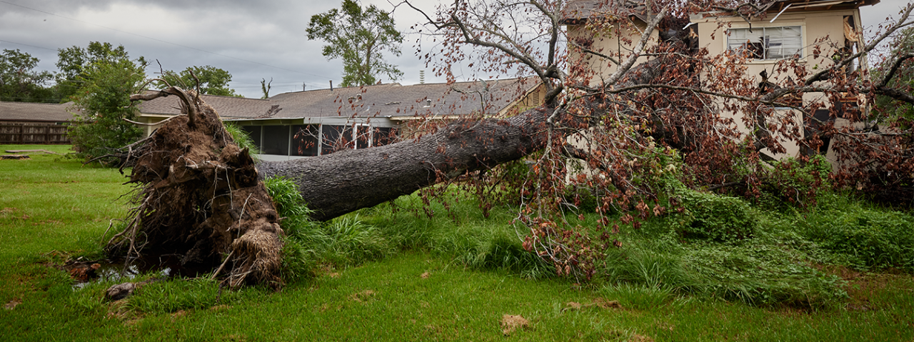 Red Cross Emergency High Wind Safety