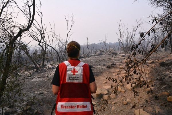 disaster relief volunteer viewing damage