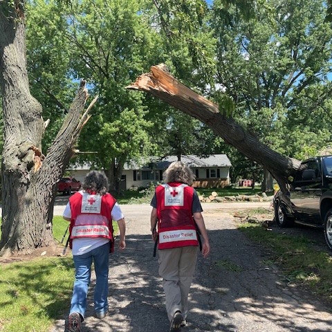 Two Red Cross volunteers walking down a dirt road with a large tree that has a broken branch.