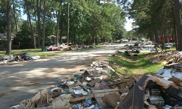 Lots of debris along street with trees.