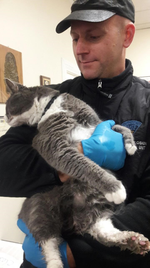 Jeff Hall wearing hat, jacket, rubber gloves and holding a cat.
