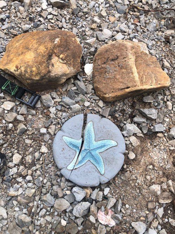 broken shell on ground