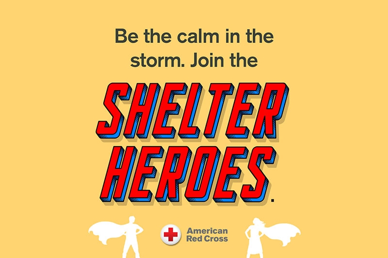 Shelter Heroes banner.
