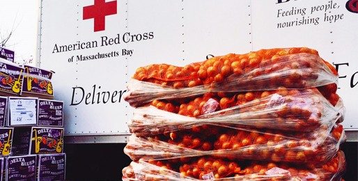 packaged oranges in front of red cross vehicle
